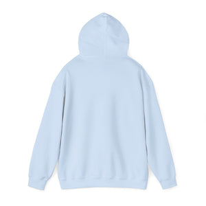Believe & be Saved 2.0 Women’s Unisex Heavy Blend™ Hooded Sweatshirt